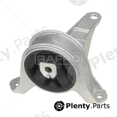 Rapro R59072 — Mounting, engine
