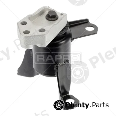 Rapro R54981 — Mounting, engine