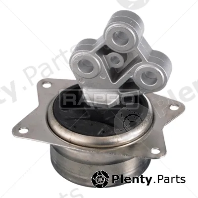 Rapro R54992 — Mounting, engine
