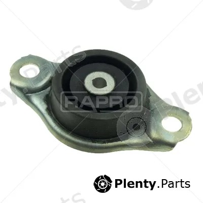 Rapro R52272/O — Mounting, engine