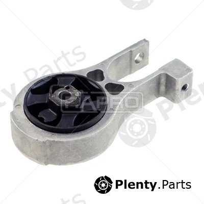 Rapro R54330 — Mounting, engine