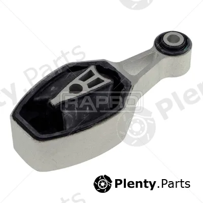 Rapro R54274 — Mounting, engine