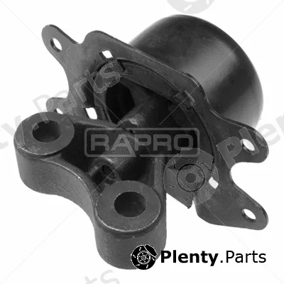Rapro R54907 — Mounting, engine