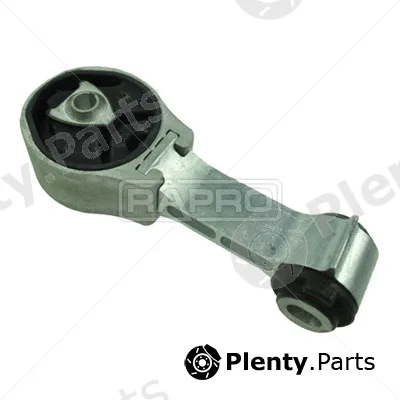 Rapro R53163 — Mounting, engine