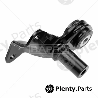 Rapro R54713/O — Mounting, engine