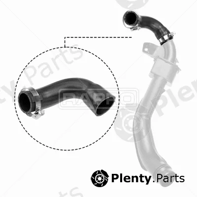 Rapro R12734 — Charge Air Hose