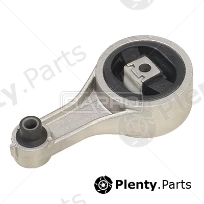 Rapro R52007 — Mounting, engine
