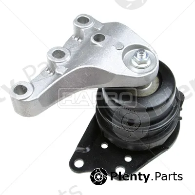 Rapro R54944 — Mounting, engine