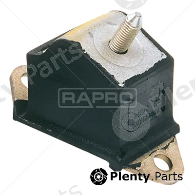 Rapro R58088 — Mounting, engine