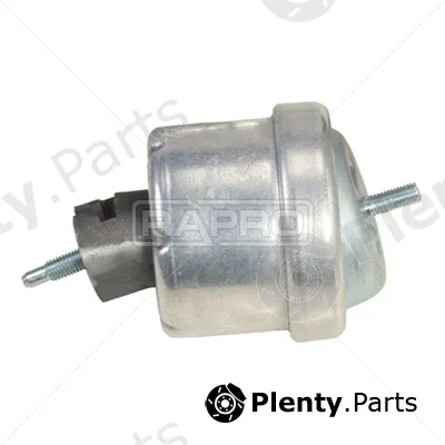 Rapro R59254 — Mounting, engine