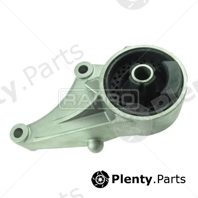 Rapro R51129 — Mounting, engine