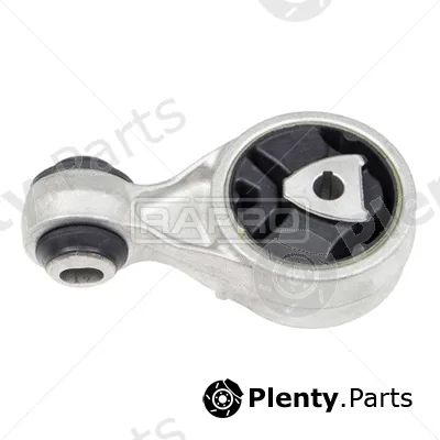 Rapro R59858 — Mounting, engine