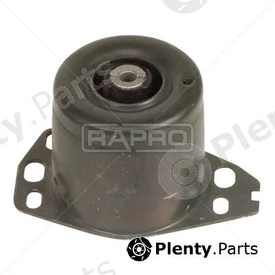 Rapro R59508 — Mounting, engine