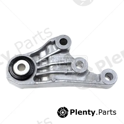 Rapro R54704/O — Mounting, engine