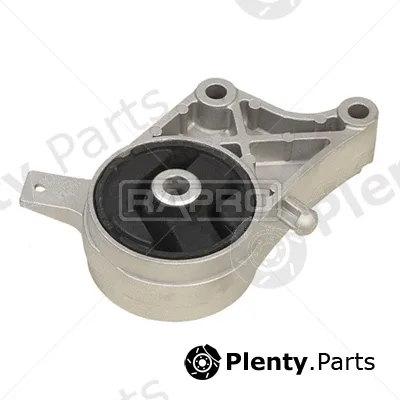 Rapro R59180 — Mounting, engine