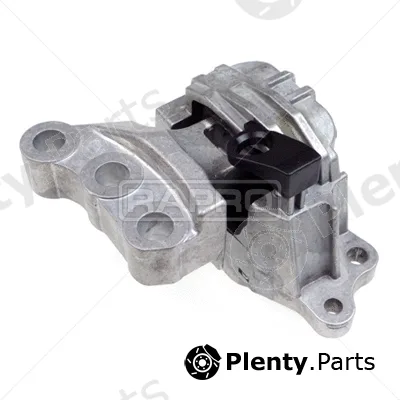 Rapro R54346 — Mounting, engine