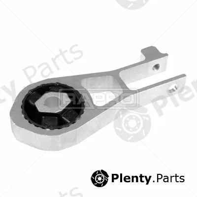 Rapro R54766/O — Mounting, engine