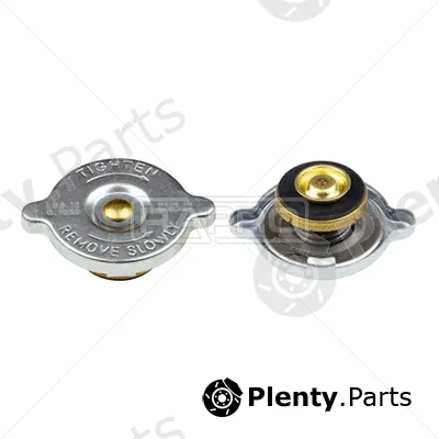 Rapro R66144 — Cap, coolant tank