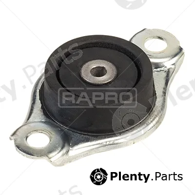Rapro R52166 — Mounting, engine
