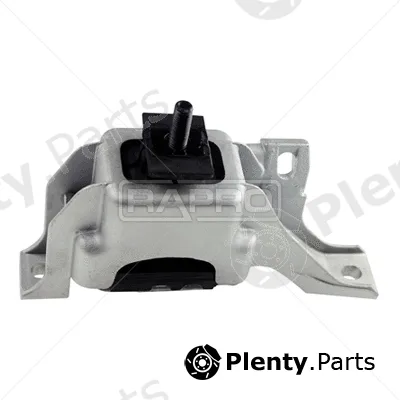 Rapro R54177 — Mounting, engine