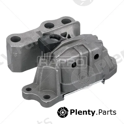 Rapro R55447 — Mounting, engine