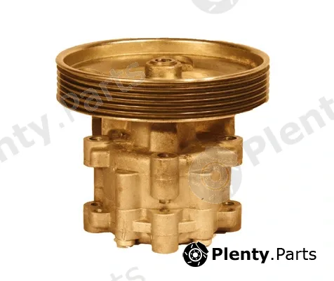 Sercore 07B986 — Hydraulic Pump, steering