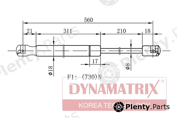 Dynamatrix DGS128606 — Gas Spring, boot/cargo area