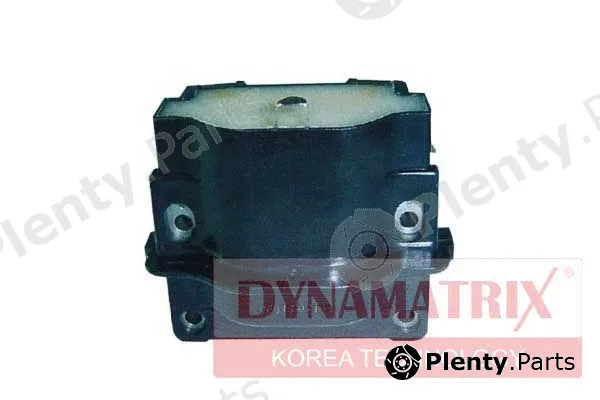 Dynamatrix DIC160 — Ignition Coil