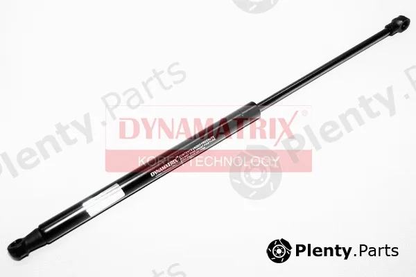 Dynamatrix DGS501695 — Gas Spring, boot/cargo area