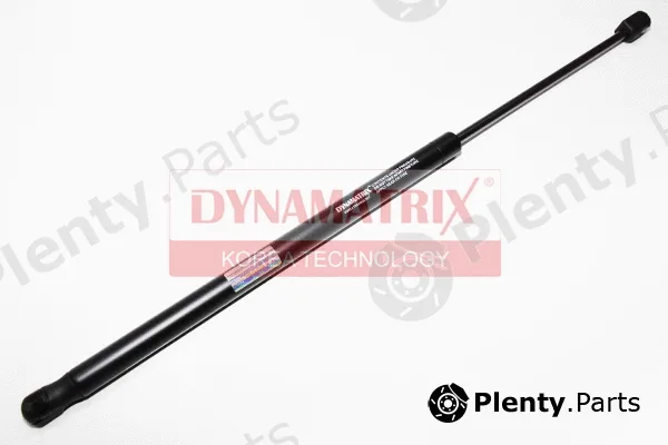 Dynamatrix DGS002578 — Gas Spring, boot/cargo area