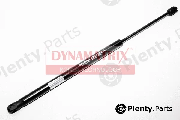 Dynamatrix DGS919913 — Gas Spring, boot/cargo area