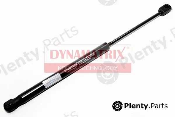 Dynamatrix DGS017681 — Gas Spring, bonnet
