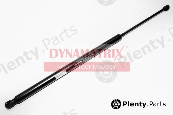 Dynamatrix DGS013349 — Gas Spring, boot/cargo area