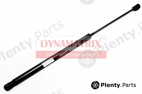 Dynamatrix DGS020594 — Gas Spring, boot/cargo area