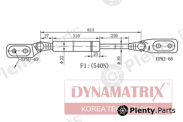 Dynamatrix DGS766955 — Gas Spring, boot/cargo area