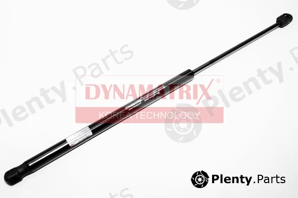 Dynamatrix DGS023713 — Gas Spring, boot/cargo area