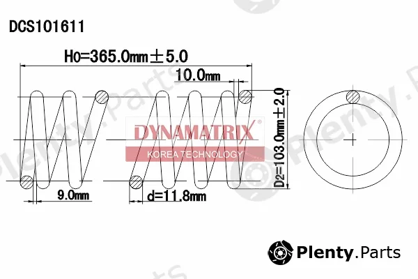 Dynamatrix DCS101611 — Suspension Spring