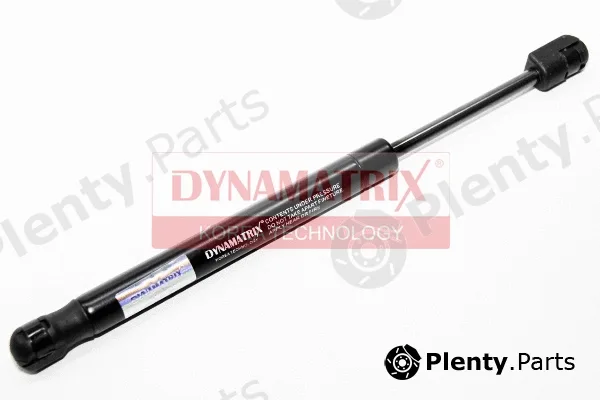 Dynamatrix DGS017120 — Gas Spring, boot/cargo area