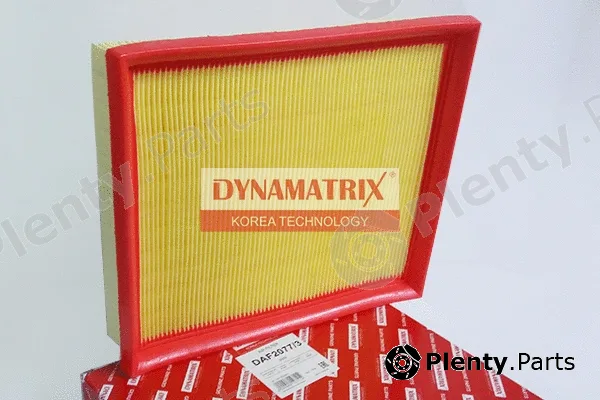 Dynamatrix DAF2077/3 — Air Filter