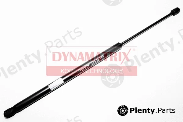 Dynamatrix DGS016391 — Gas Spring, boot/cargo area