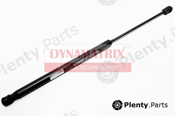 Dynamatrix DGS024295 — Gas Spring, boot/cargo area