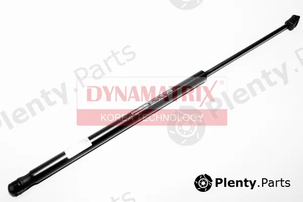 Dynamatrix DGS018387 — Gas Spring, boot/cargo area