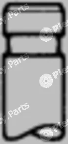Kolbenschmidt 50017747 — Intake Valve