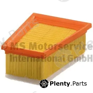 Kolbenschmidt 50013431 — Air Filter
