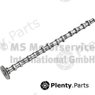 Kolbenschmidt 50007931 — Camshaft