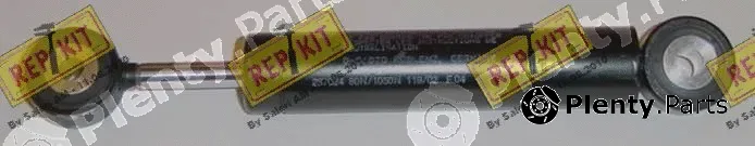 Repkit RKT2307 — Vibration Damper, V-ribbed belt