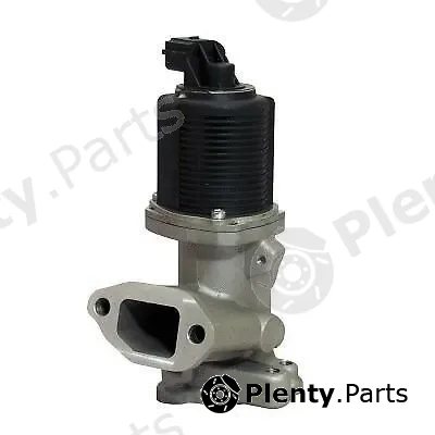 CSV electronic parts CGR4831 — EGR Valve