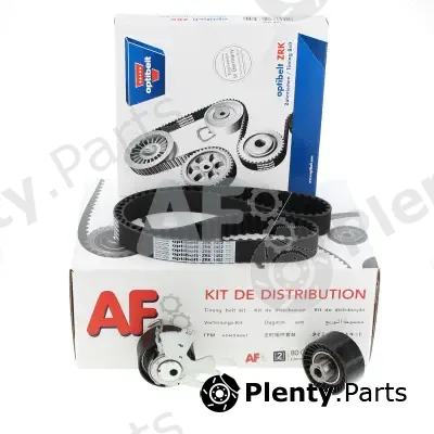 AUTOMOTOR France PTK31T5 — Timing Belt Kit AF - Gamme Premium