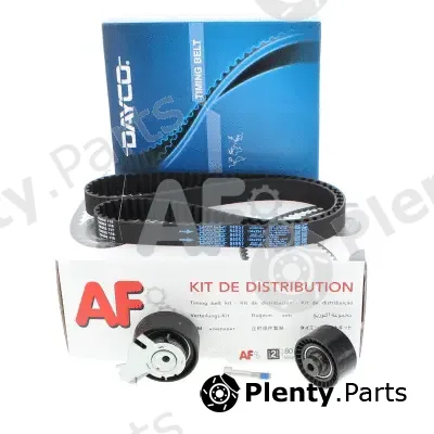 AUTOMOTOR France PTK31R9 — Timing Belt Kit AF - Gamme Premium