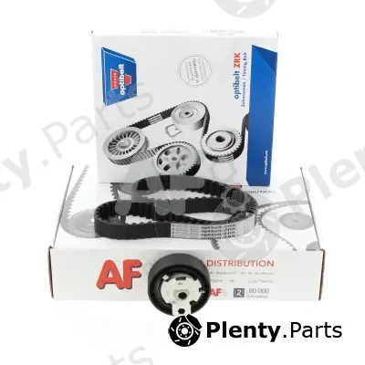 AUTOMOTOR France PTK1013 — Timing Belt Kit AF - Gamme Premium